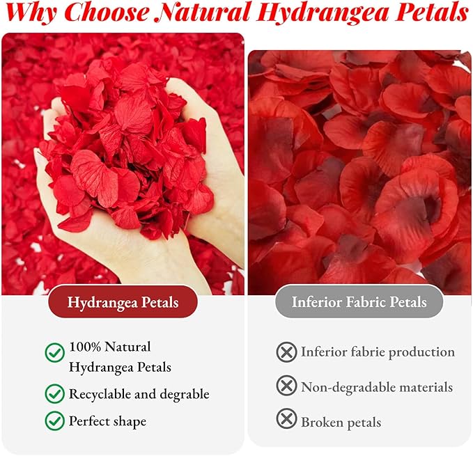 1500Pcs Real Dried Red Hydrangea Flower Petals - Image 3