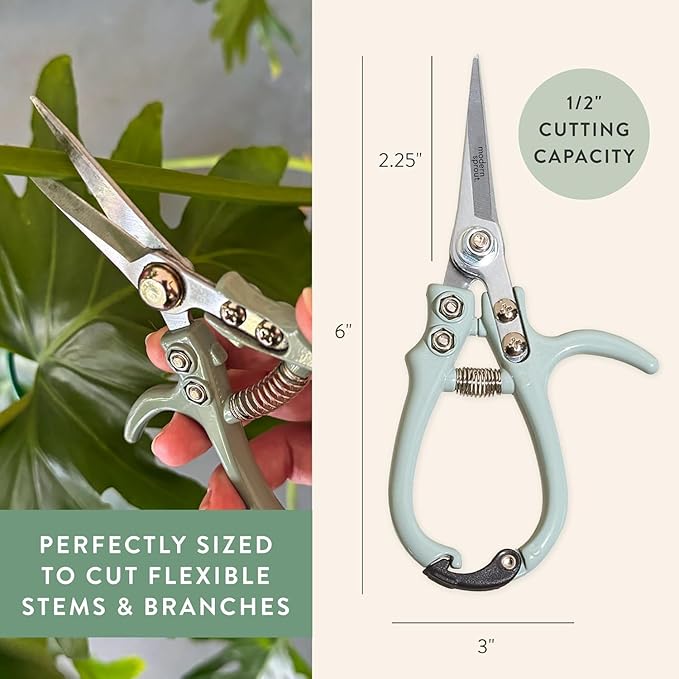 Modern Sprout Pruning Shears - Image 4