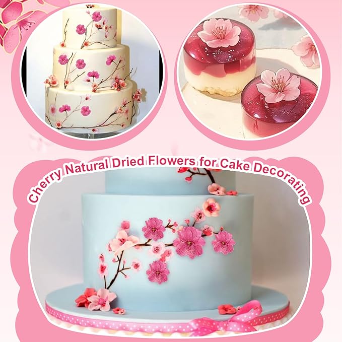 101 PCS Pressed Cherry Blossom for Crafts, Dried Sakura Flowers for Soap Candle - Image 4