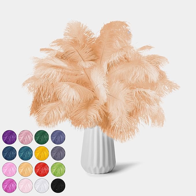 NEWONG 30pcs Champagne Ostrich Feathers Natural Bulk 8-10inch Vase Craft by NEWONG