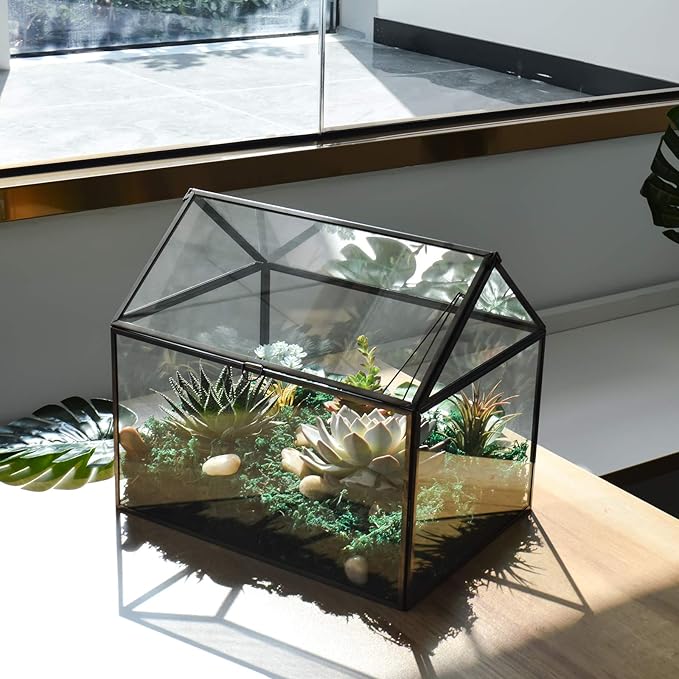 Black 1 Large Glass Plant Terrarium Kit - Image 3