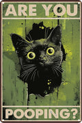 Funny Black Cat "Are You Pooping?" Tin Sign by Unknown