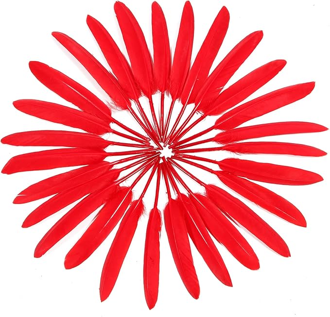 FeelfunFeather 120pcs Red Goose Cochettes Feather Natural Bulk 4-6 inch 10-15cm - Image 3