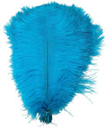 KOLIGHT® 40pcs 12''~14'' Natural Ostrich Feathers by KOLIGHT