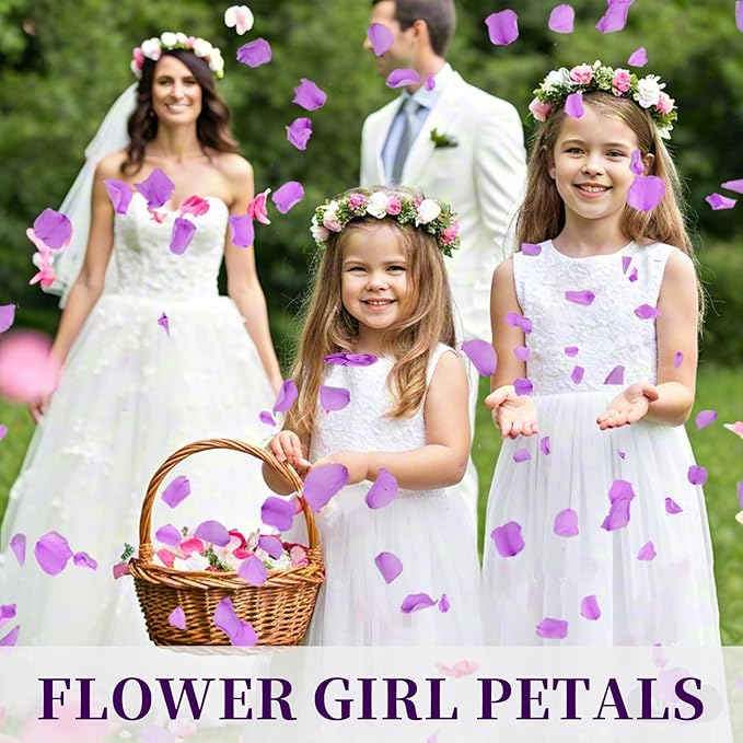 180 PCS Real Purple Rose Petals - Image 5