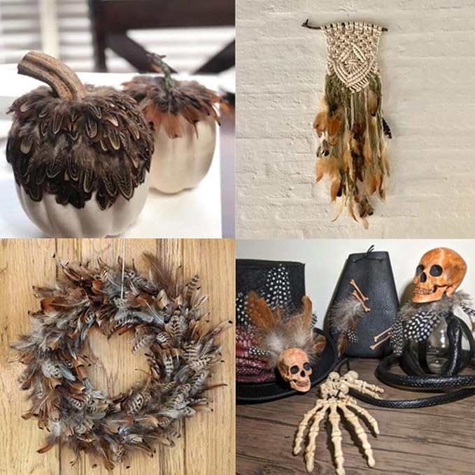 Ballinger 240pcs 12 Styled Natural Feathers Assorted Mixed Feathers - Image 6