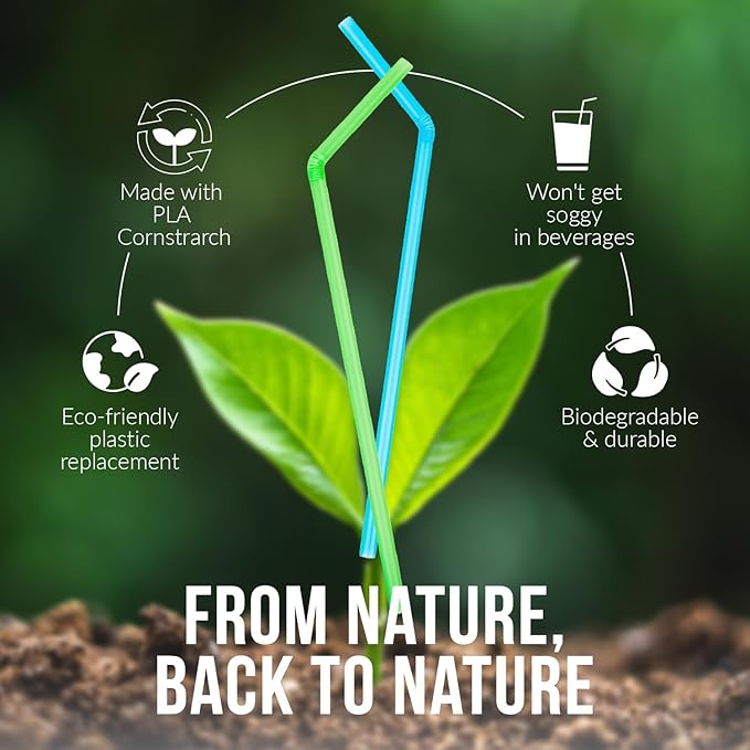 Weemium Compostable Straws Disposable 300 Pack | 100% Plant-Based Plastic-free - Image 4