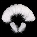 THARAHT 360pcs White Feathers 3-5 inch Craft Feathers Assorted Rainbow Colors by THARAHT