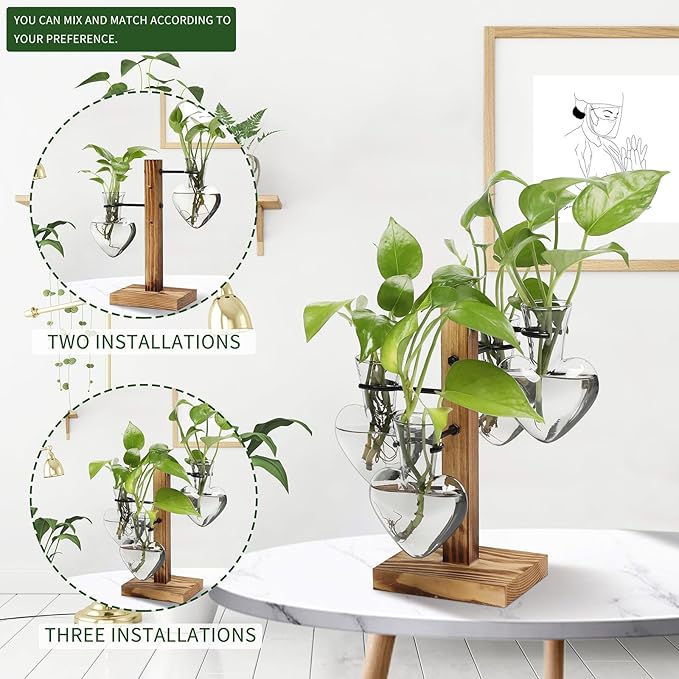 Plants Propagation Stations Plant Terrarium Kit Glass Planters - Image 5