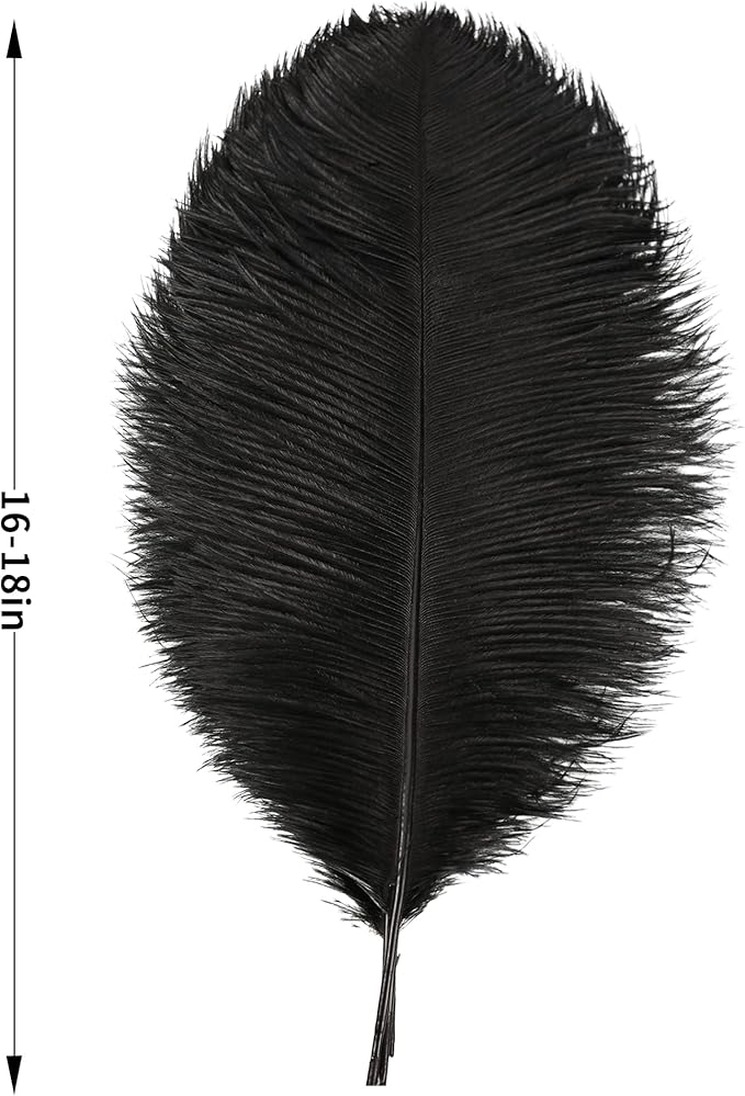 Larryhot Black Ostrich Feathers Bulk - Image 4
