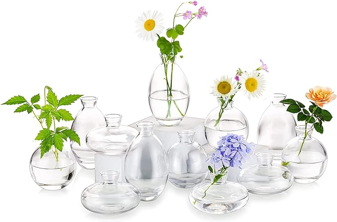 Glass Bud Vases Set of 12, Hewory Cute Clear Small Vases Handmade, Mini Glass by Hewory