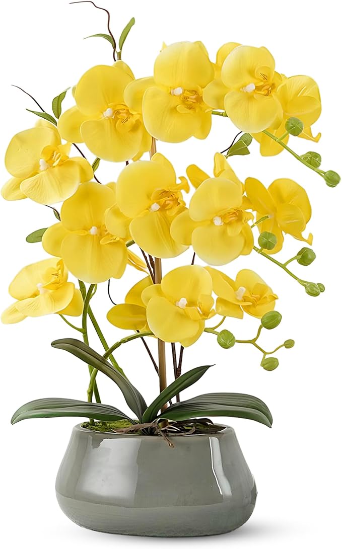 Orchid Artificial Flowers with Gray Vase Large Silk Faux Phalaenopsis Flowers by ABetterDayStartsHere