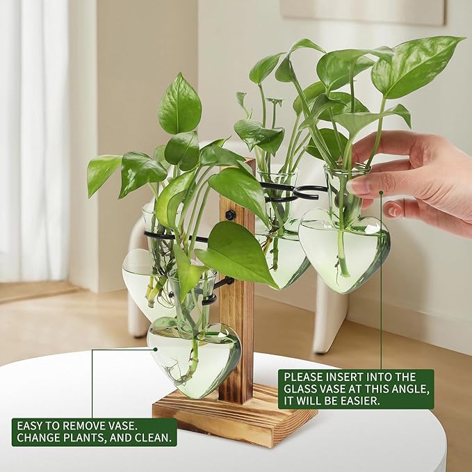 Plants Propagation Stations Plant Terrarium Kit Glass Planters - Image 3