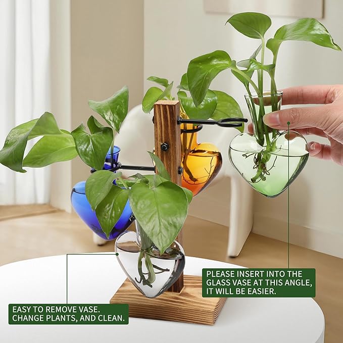 Plants Propagation Stations Plant Terrarium Kit Glass Planters - Image 3