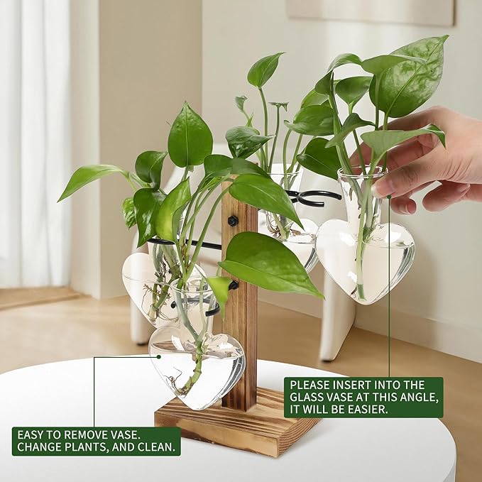 Plants Propagation Stations Plant Terrarium Kit Glass Planters - Image 3