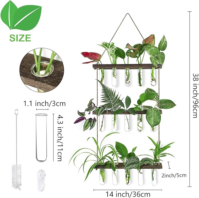 Ivolador Hanging Plant Propagation Tubes, 3 Tiered Wall Hanging Terrarium - Image 2