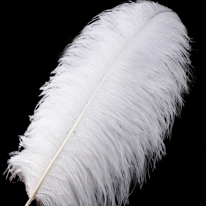 Larryhot White Large Ostrich Feathers - Image 2