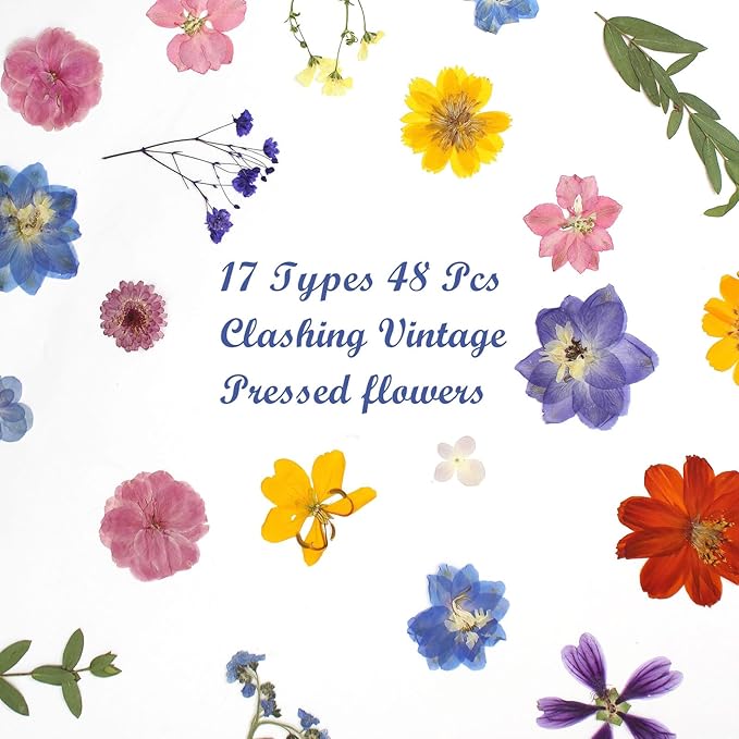 17 Types Retro Dried Pressed Flowers Leaf Plant Herbarium - Image 3