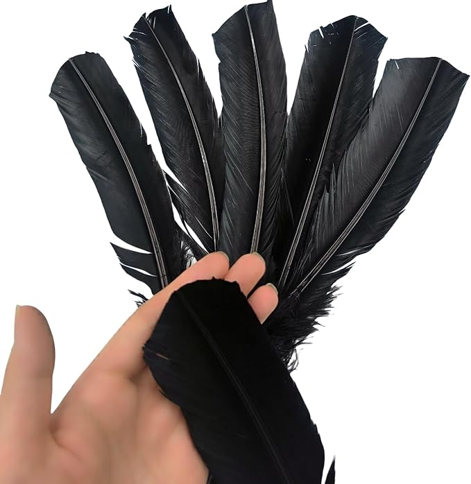 Black Turkey Feathers, Turkish Feather - Image 4