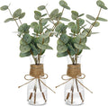 2 Pack Artificial Eucalyptus Stems in Glass Vase Decorative Greenery Artificial by Unknown