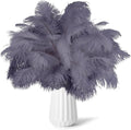 NEWONG 30pcs Grey Ostrich Feathers Natural Bulk 11-14inch Vase Craft Wedding by NEWONG