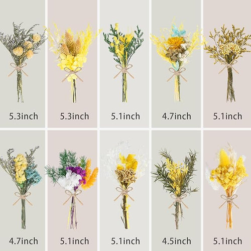 10/12/24/36 Pack Mini Dried Flowers - Image 2