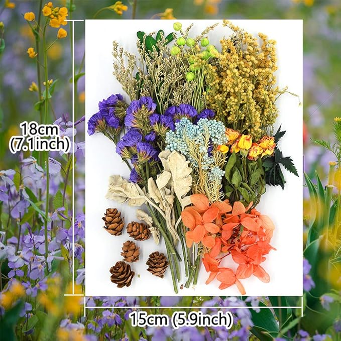 Vignee Real Dried Pressed Leaf Flowers-Multiple Colorful Pressed Flowers Daisies - Image 2