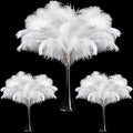 Maitys 90 Pcs Large Natural Ostrich Feathers Bulk 14-16 Inch 12-14 Inch 10-12 by Maitys