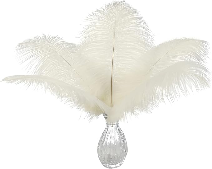 Ballinger Beige Big Ostrich Feathers by Ballinger