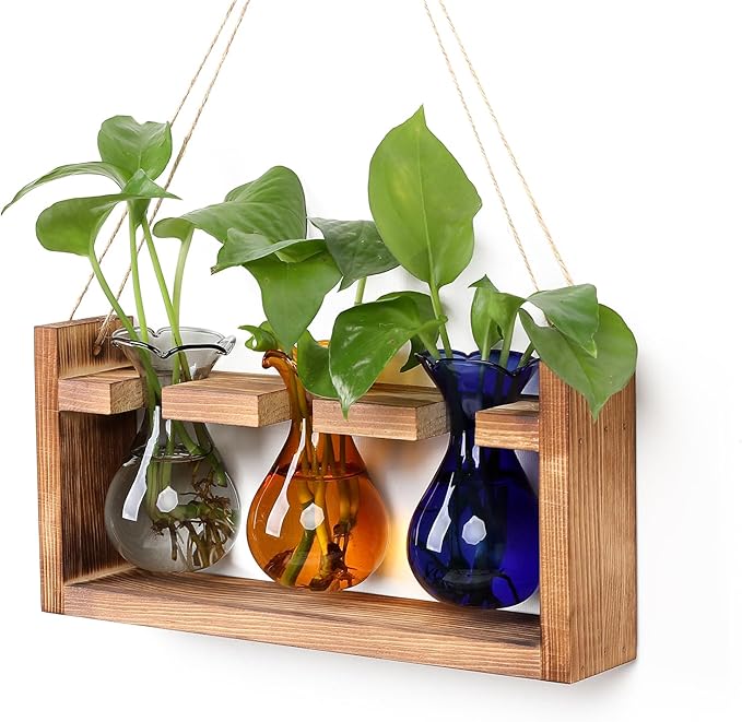 Plant Propagation Station Plant Terrarium Unique Birthday Gifts by Unknown