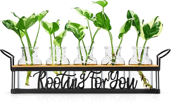 THYGIFTREE Plant Propagation Stations, Mothers Day Plant Lover Gifts by THYGIFTREE