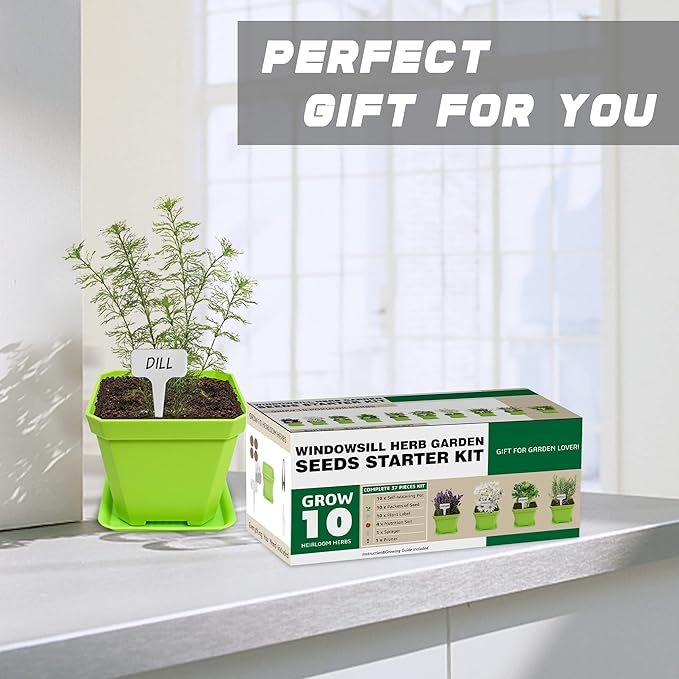 10 Herb Seeds Garden Starter Grow Kit - Image 7