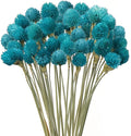 Dried Flower Tiffany Blue Globe Amaranth by MIHUAGE