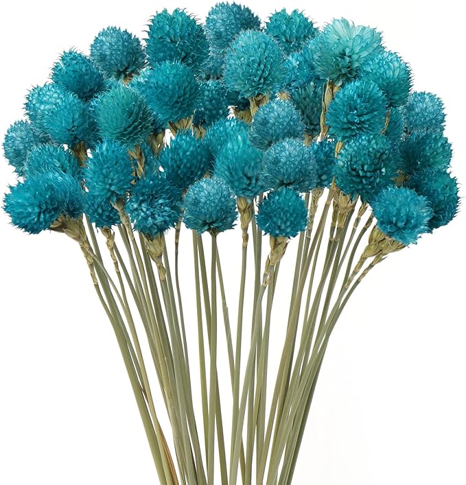 Dried Flower Tiffany Blue Globe Amaranth by MIHUAGE