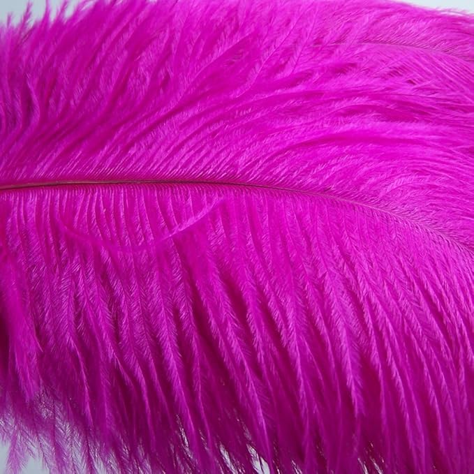 KOLIGHT® 40pcs 12''~14'' Natural Ostrich Feathers - Image 2