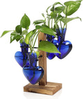 Plants Propagation Stations Plant Terrarium Kit Glass Planters by CYZglass
