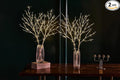 Fudios Lighted Branches with Timer Battery Operated 30IN Tall Birch Twig Lights by Fudios