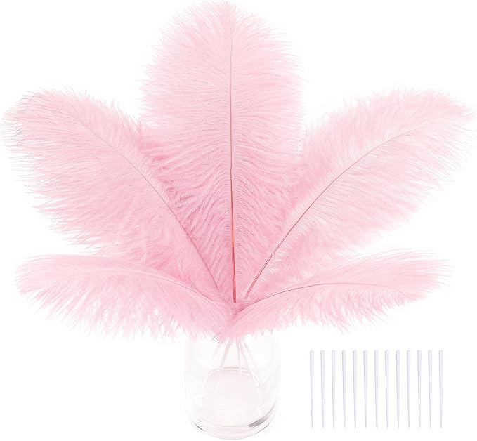 SOGUGOM Pink Craft Ostrich Feathers by SOGUGOM