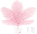 SOGUGOM Pink Craft Ostrich Feathers by SOGUGOM