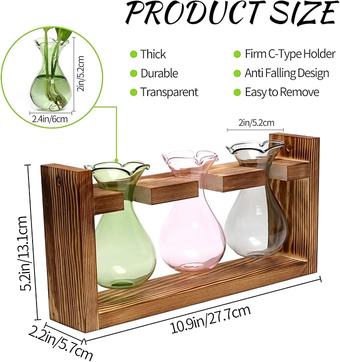 Plant Propagation Station Plant Terrarium Unique Birthday Gifts - Image 2