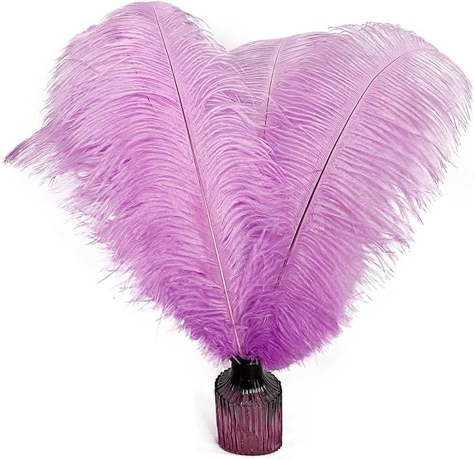 Happy Feather 16-18 inch Light Purple Ostrich Feathers Craft by SupplyHighQualityFeathers