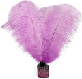 Happy Feather 16-18 inch Light Purple Ostrich Feathers Craft by SupplyHighQualityFeathers