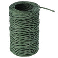 PATIKIL 164 Feet Floral Bind Wire Wrap Twine, 2mm Green Paper-Wrapped Iron Wire by PATIKIL