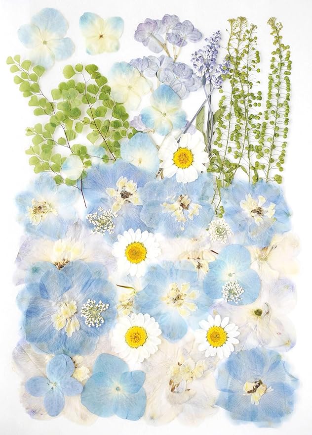 Real Dried Pressed Flowers Leaf Plant Herbarium by AHTONG