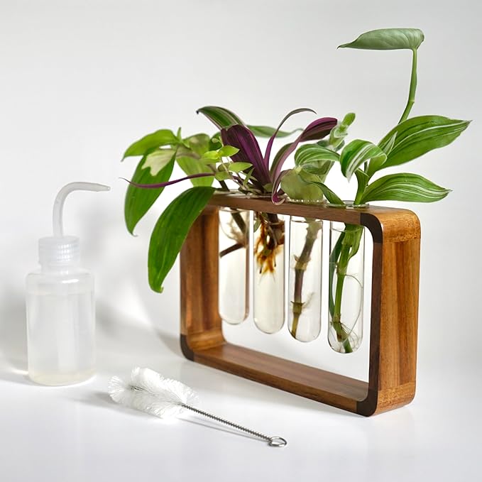 Source & Plot - Plant Propagation Station - Acacia Wood Stand 4 Glass Test Tube - Image 7