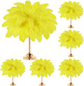 80 Pcs Large Natural Ostrich Feathers Plumes 14-16 Inch Bulk by Yuxung