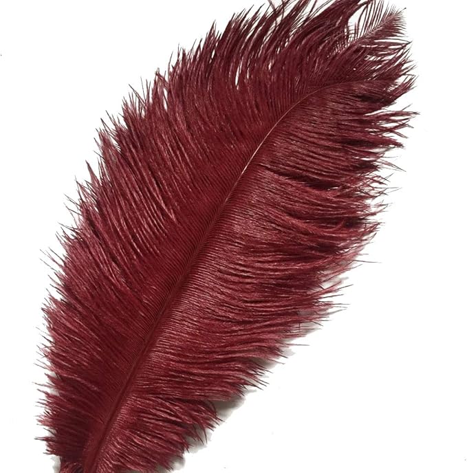 KOLIGHT 40pcs 12''~14'' Natural Ostrich Feathers by KOLIGHT