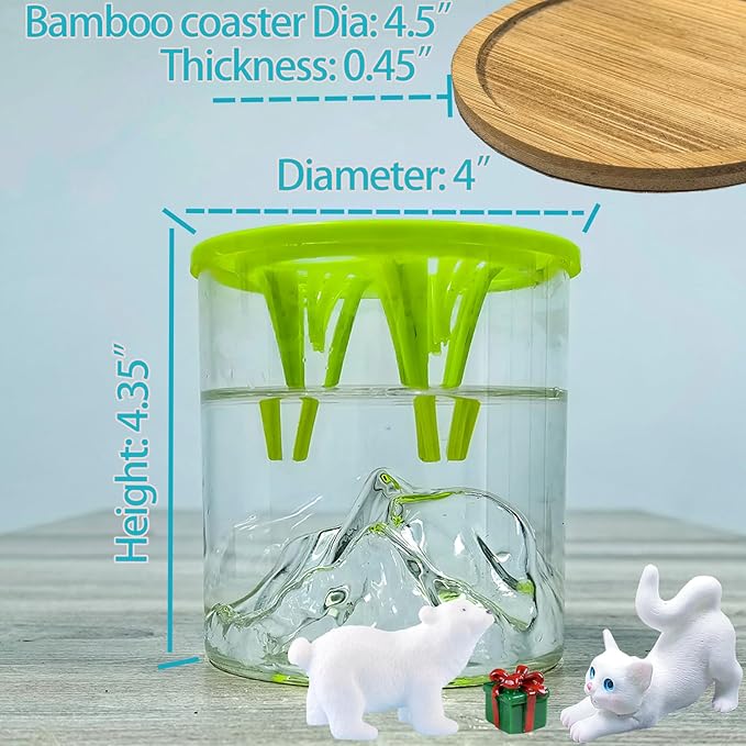 Versatile Plant Propagation Station Vase Hydroponic Planter Pot, Glass Plant - Image 9