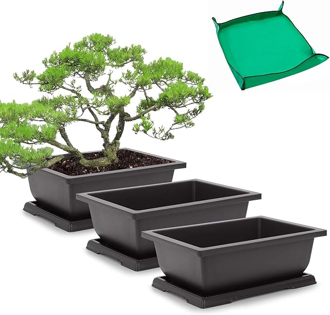 GROWNEER Bonsai Pots 3 Packs 11 Inch Bonsai Tree Training Pot by GROWNEER