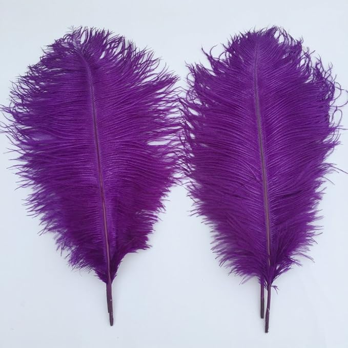 Sowder 16-18inch Ostrich Feathers Plume - Image 2